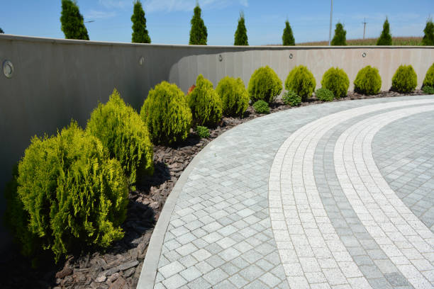Best Concrete Paver Driveway  in Wonder Lake, IL